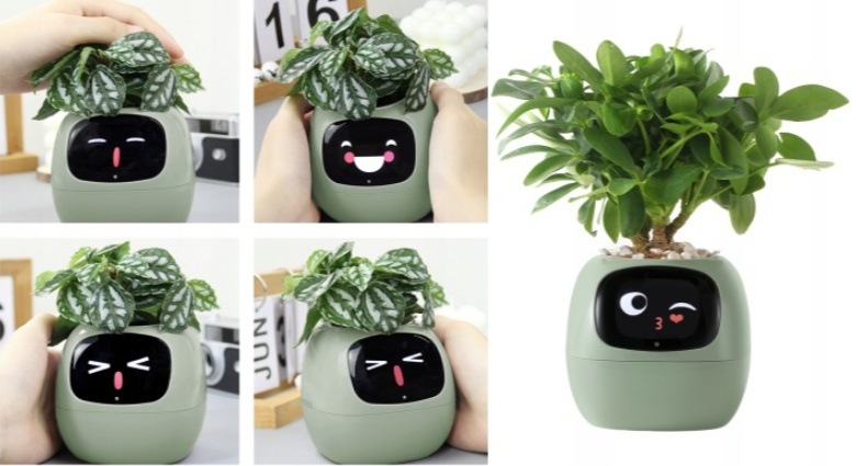 Chytrý kvetináč Plantsio IVY - zelený