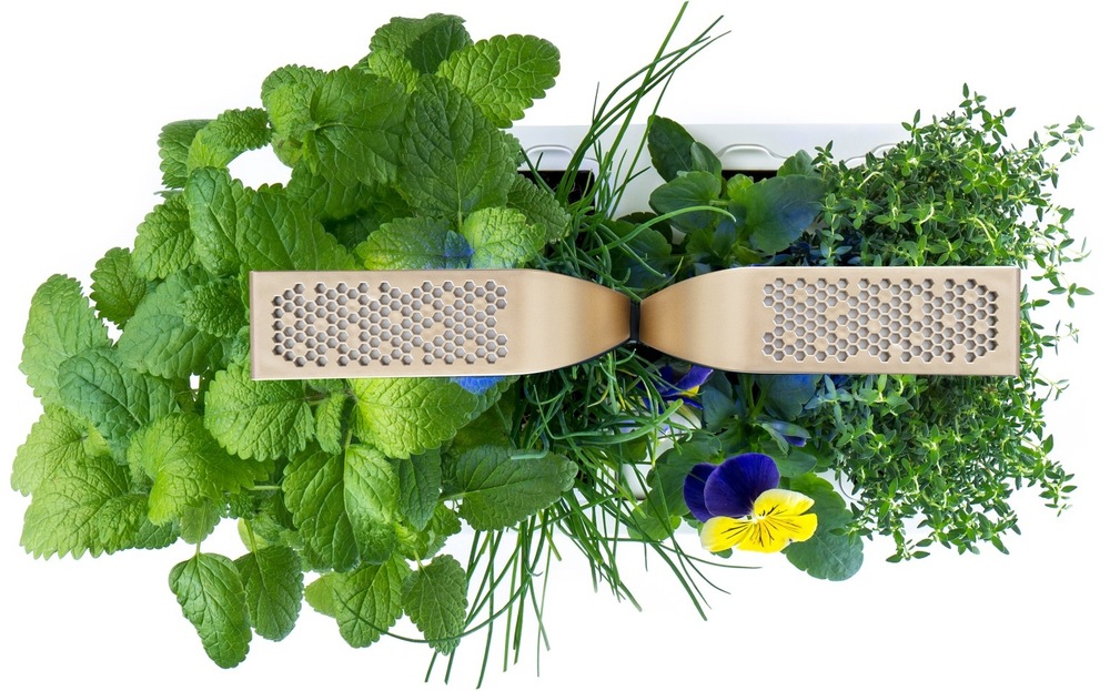 Inteligentný kvetináč Véritable CONNECT biely/champagne Chytrý kvetináč Véritable CONNECT s vypestovanými bylinkami