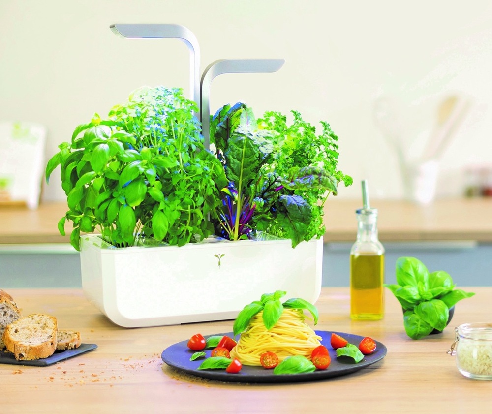 Inteligentný kvetináč Véritable SMART biely Chytrý kvetináč Véritable SMART v reálnej kuchyni