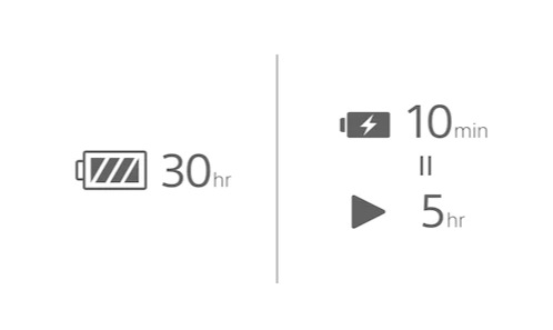 Slúchadlá Sony WH-1000XM4 strieborná