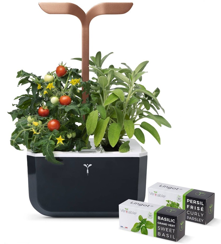 Inteligentný kvetináč Véritable Exky SMART čierny/medený Chytrý kvetináč Véritable Exky SMART s ukážkou sadeníc