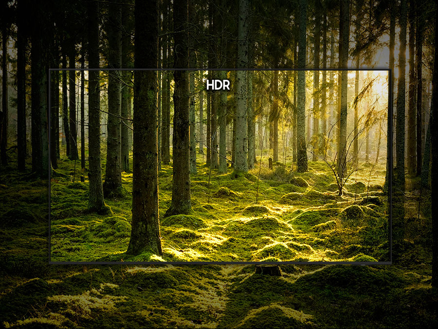 Televízia Samsung UE43U8072H lesná scéna HDR obraz