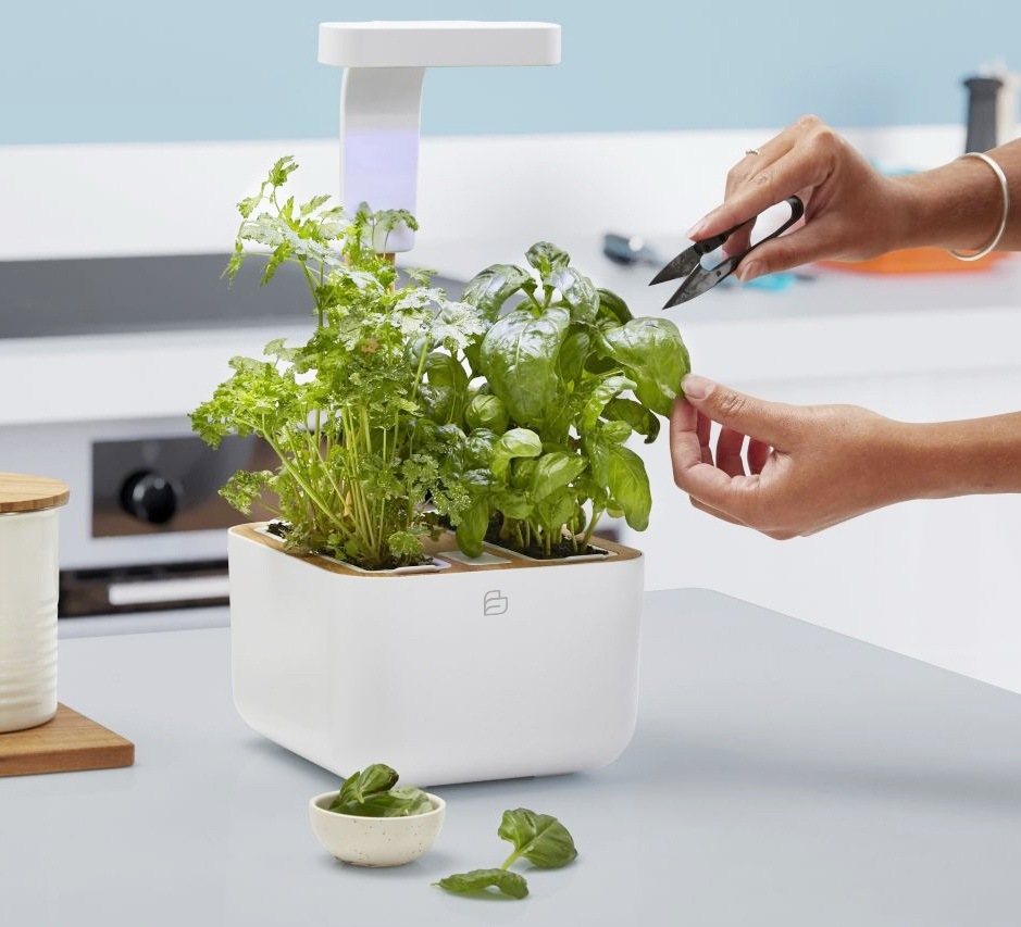 Inteligentný kvetináč Véritable BOTANEO biely Chytrý kvetináč Véritable BOTANEO v interiéri kuchyne
