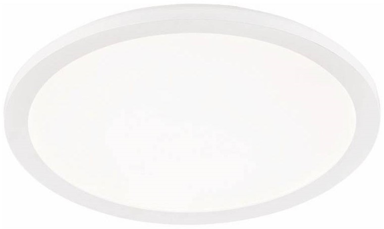 Stropné svietidlo Reality Camillus, 22 W, okrúhle