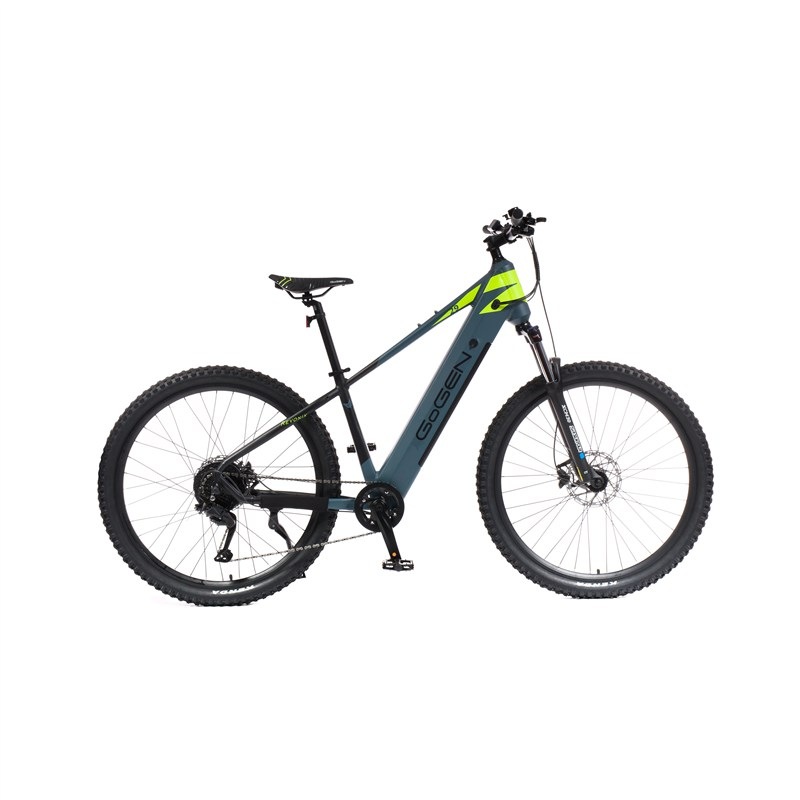 Elektrobicykel GoGEN Revonix HD 720 29" 19" 2026 sivá / neónová