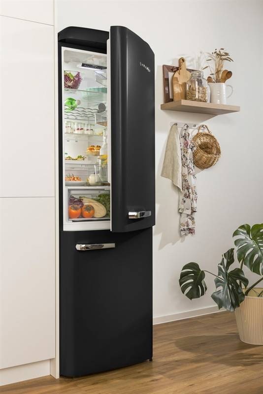 Chladnička s mrazničkou Gorenje Retro ONRK619DBK-L čierna
