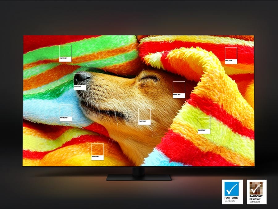 Televízor Samsung QE65QN900C Samsung QE65QN900C