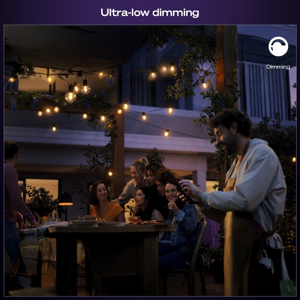 Párty osvetlenia Philips Hue Festavia globe, Bluetooth, White and Color Ambiance, 7 m PHI929004581801_03
