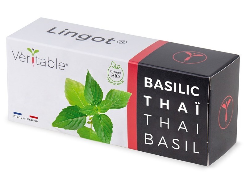 Semienka Véritable Lingot Thajská bazalka BIO