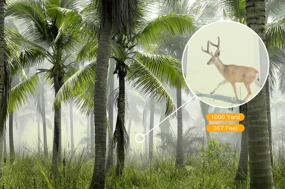 Ďalekohľad Apeman BC100, 10x42 čierny