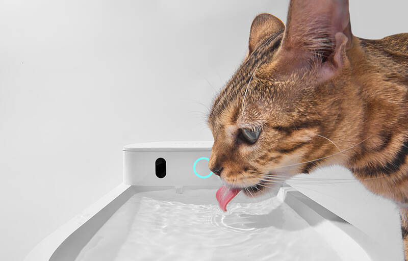 Inteligentná fontána Catlink Pure 3 biela