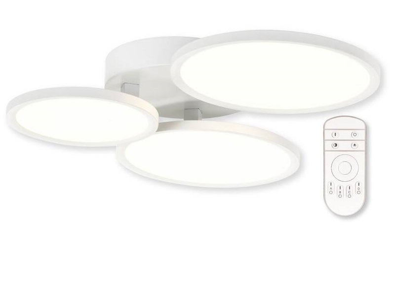 LED stropné svietidlo Top Light Merkur B RC biele
