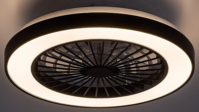 LED stropné svietidlo Rabalux Dalfon2, s ventilátorom čierne/strieborné „Stropné
