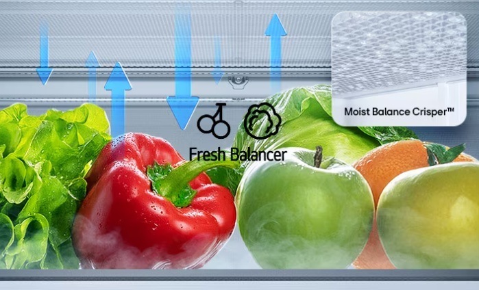 Chladnička s mrazničkou LG GBBS726AMB metal sorbet nerez Vnútri zásuvky Fresh Balancer sa nachádza ovocie a zelenina, ktoré vďaka regulácii vlhkosti zostane dlhšie čerstvé.