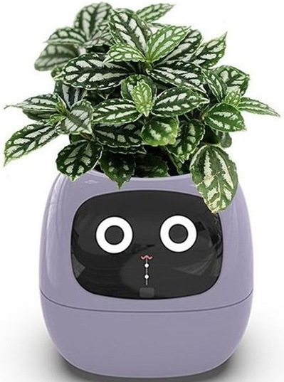 Chytrý kvetináč Plantsio IVY - fialová
