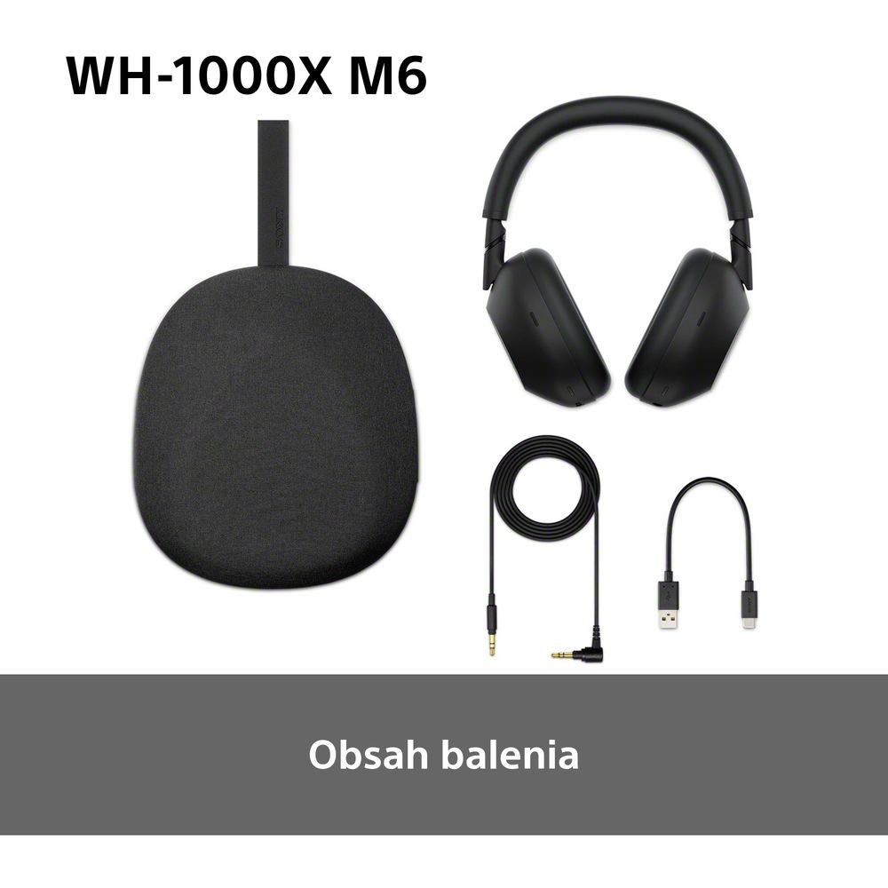 Sony WH-1000XM6