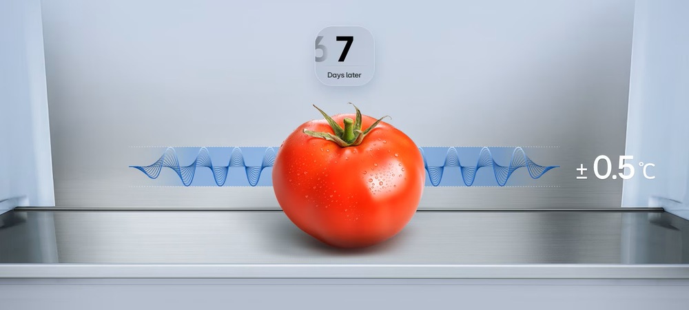 Chladnička s mrazničkou LG GBBW312CEV čierna FRESHBalancer a FRESHConverter+ vytvárajú ideálne podmienky na ovocie, zeleninu i ďalšie druhy potravín