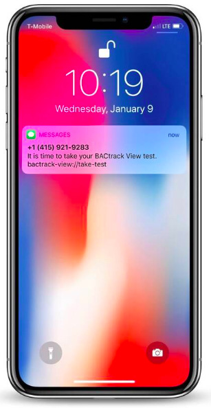 Alkoholtestér BACtrack Mobile Anti-cheat Alkoholtester BACtrack Mobile Anti-cheat