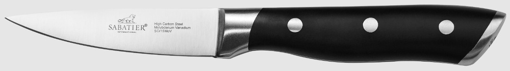 Sada kuchynských nožov Lion Sabatier International Hercules 793280, 2 ks nerez Lúpací nôž Hercules s tenkou 9cm čepeľou a ergonomickou rukoväťou z ABS