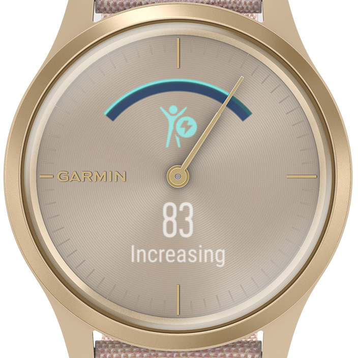 Inteligentné hodinky Garmin vivomove3 Style Silver / Green Inteligentné hodinky Garmin vivomove3 Style Silver / Green