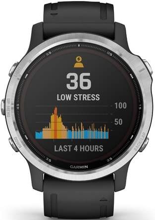 Inteligentné hodinky Garmin fenix6S Solar - Silver/Black Band