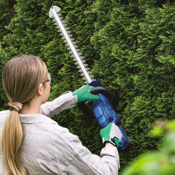 Nožnice na živý plot Scheppach C-HT570-X-SET S (s baterií) Žena tvaruje vysoké tuje nožnicami Scheppach C-HT570-X s obojručným vedením