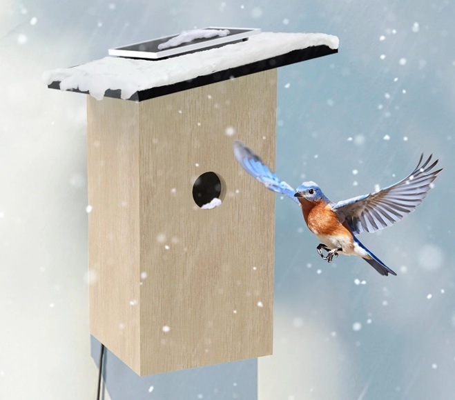 Vtáčia búdka Birdfy Ebony s kamerou (AI predplatné) Ilustrácia búdky v zimnom období s vtáčikom.