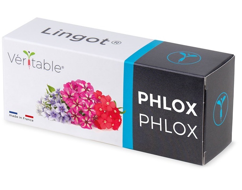 Semienka Véritable Lingot Flox