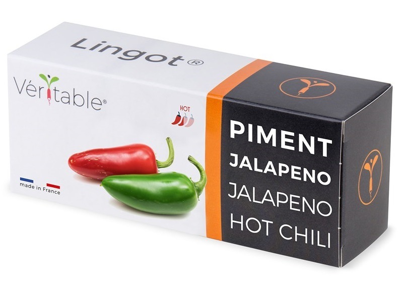 Semienka Véritable Lingot Jalapeño pálivé chilli