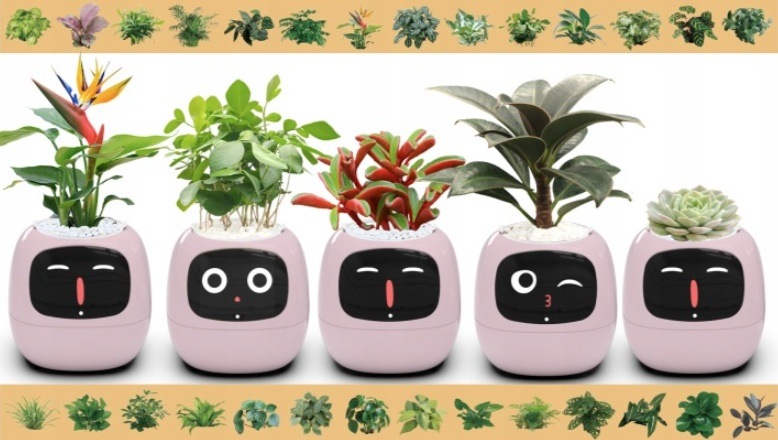 Inteligentný kvetináč Plantsio IVY fialový Chytrý kvetináč Plantsio IVY - fialová