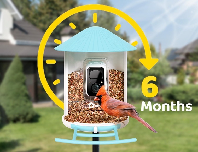 Vtáčie krmítko Birdfy s kamerou (AI predplatné) Detail obrázku kŕmidla na záhrade s vtákom.
