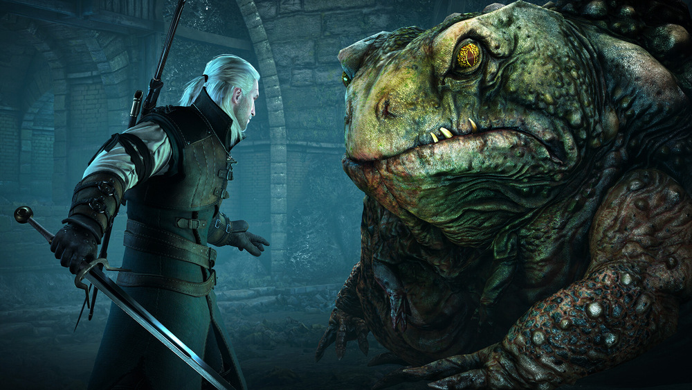 Hra CD Projekt Nintendo Switch Zaklínač 3: Divoký Hon - Edice Hra Roku Zaklínač 3: Divoký Hon - Edice Hra Roku