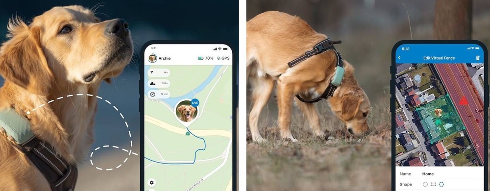 Tractive DOG XL