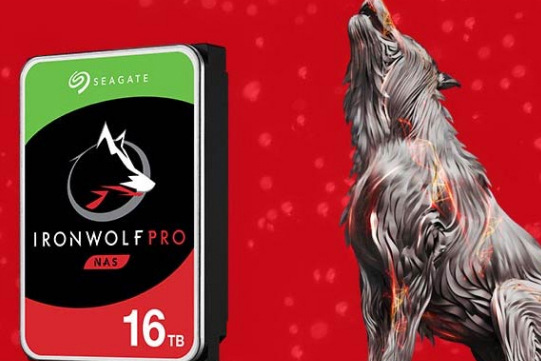 Pevný disk 3,5" Seagate IronWolf 12TB