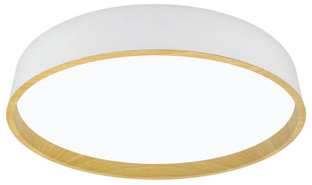Stropné svietidlo Top Light Dekor 50B RC - biele