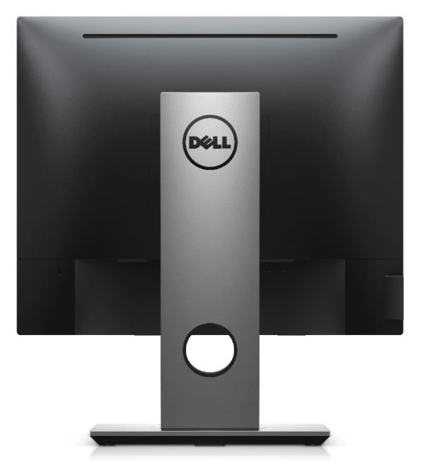 Dell P1917S