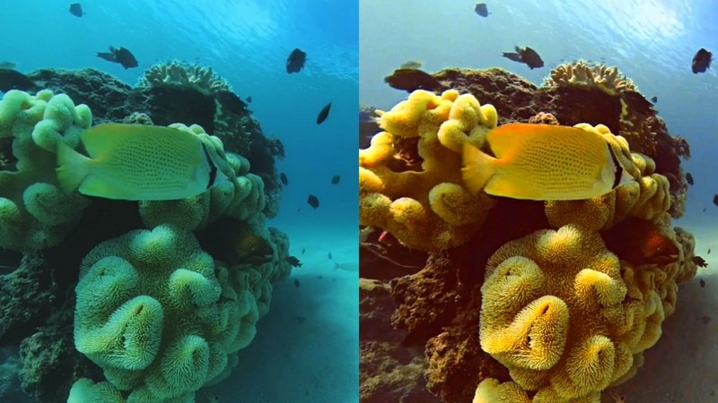 Outdoorová kamera Insta360 ONE X2 čierna/sivá Outdoorová kamera Insta360 ONE X2 čierna/sivá