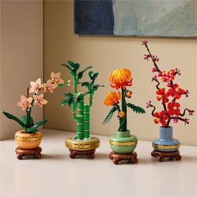 Stavebnica LEGO® Botanicals 10343 Miniaturní orchidej 

 obrázok produktu 4 z 9