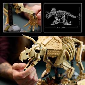 Stavebnica LEGO® Jurassic World  77985 Dinosaurie fosílie: Triceratops 

 obrázok produktu 3 z 9