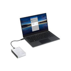 Externý pevný disk Seagate One Touch 2TB strieborný

 obrázok produktu 3 z 3