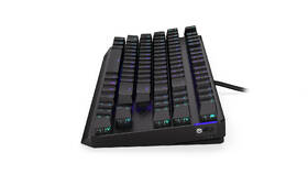 Klávesnica ENDORFY Thock TKL Wireless Red switche, US layout, RGB čierna

 obrázok produktu 7 z 11