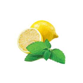 Sirup Moštěnický Sirup Citrón + mäta 

 obrázok produktu 1 z 2