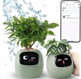 Inteligentný kvetináč Plantsio IVY zelený

 obrázok produktu 2 z 5