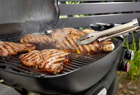 Gril záhradný plynový Weber Q 3200N+ čierny

 obrázok produktu 8 z 12