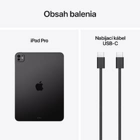 Tablet Apple iPad Pro 11" M5 Wi‑Fi 256 GB štandardné sklo - kozmicky čierny 

 obrázok produktu 8 z 8