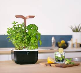 Inteligentný kvetináč Véritable Exky SMART čierny/medený

 obrázok produktu 5 z 7