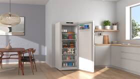 Mraznička Bosch GSN516WCG biela

 obrázok produktu 12 z 23
