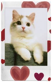 Instantný film Fujifilm Instax mini HEARTS 

 obrázok produktu 5 z 7