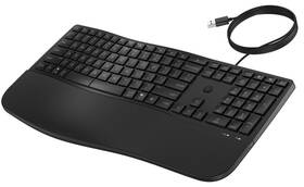 Klávesnica HP HP 480 Comfort CZ/SK čierna

 obrázok produktu 2 z 5