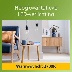 LED žiarovka Philips 60W, filament, G95, E27, teplá bílá 

 obrázok produktu 3 z 3